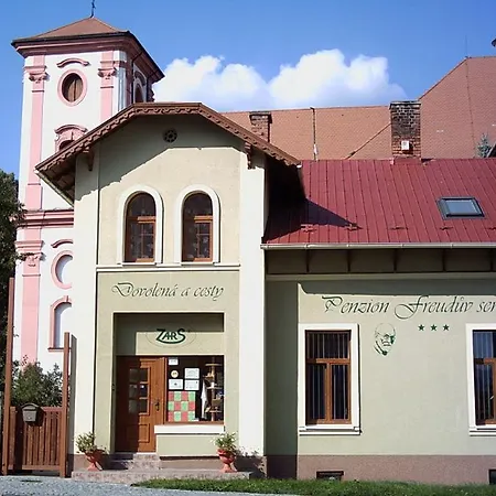 Freuduv Sen Příbor