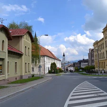 Freuduv Sen Maison d'hôtes Příbor